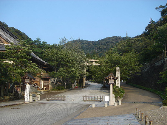伊奈波神社 初詣のトップ画像