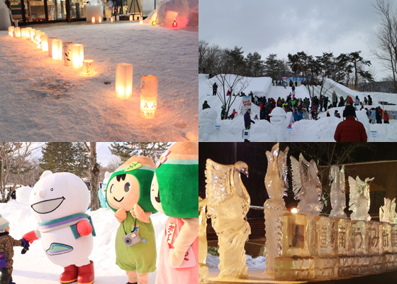 大沼函館雪と氷の祭典のトップ画像