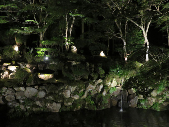 高源寺の特別公開と紅葉ライトアップ（神あかり）のトップ画像