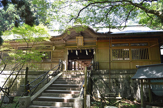 愛宕神社 初詣のトップ画像